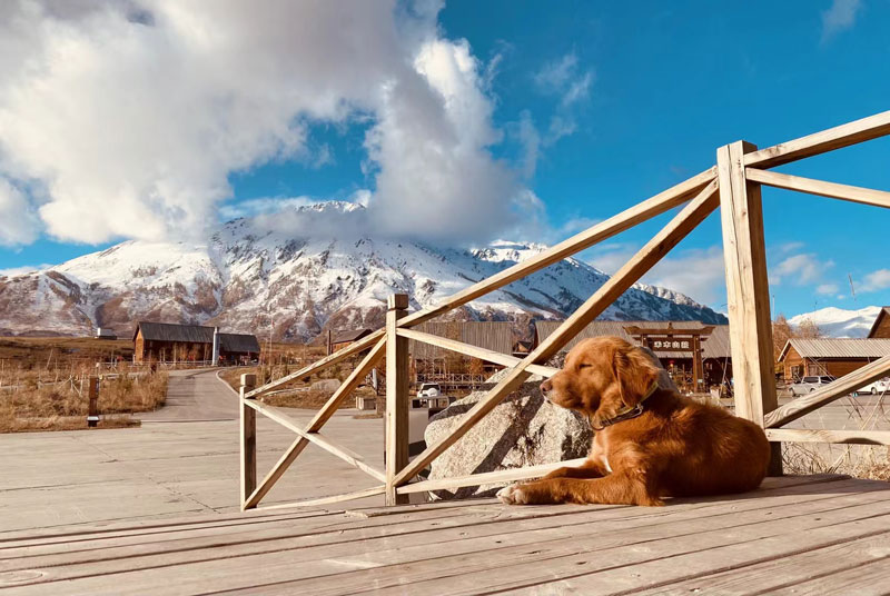 新疆禾木神的自留地