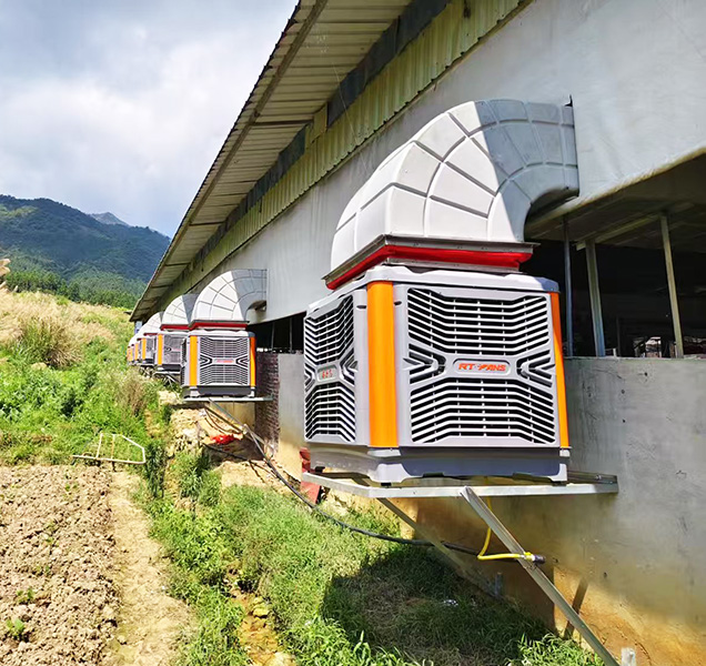 海大集團養(yǎng)殖場正壓通風降溫案例