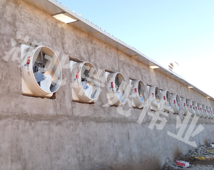 負壓風(fēng)機、通風(fēng)降溫、廠房降溫、廠房通風(fēng)，廠房空氣凈化