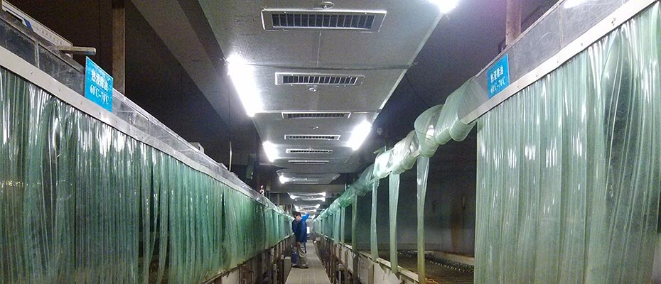 東莞環(huán)保空調工程