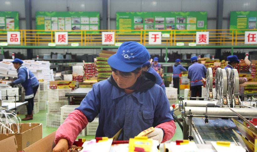 電商倉(cāng)儲(chǔ)中心降溫;工業(yè)大吊扇;工業(yè)冷風(fēng)機(jī)