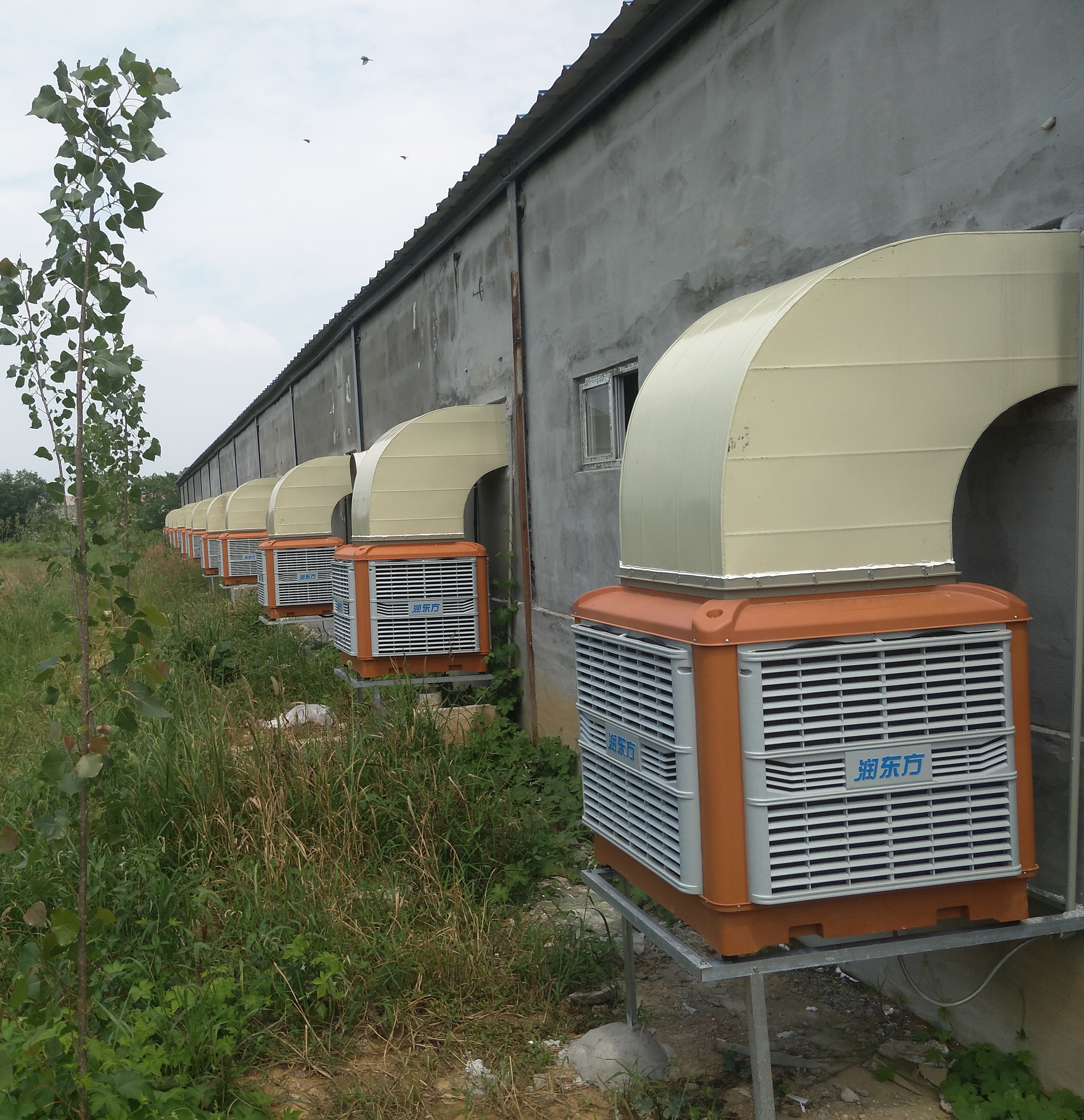 濕簾冷風(fēng)機